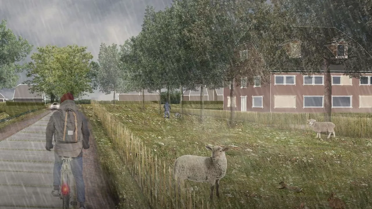 Hoogeveen wil bouw Nijstad-Oost versnellen, maar mikt nog steeds op toepassing waterstof