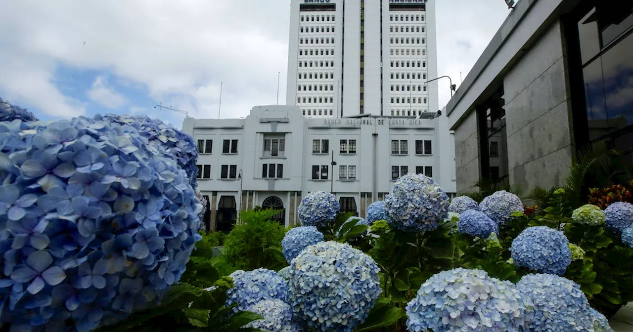 Costa Rica arrests 8 bank employees in probe of $6 million heist