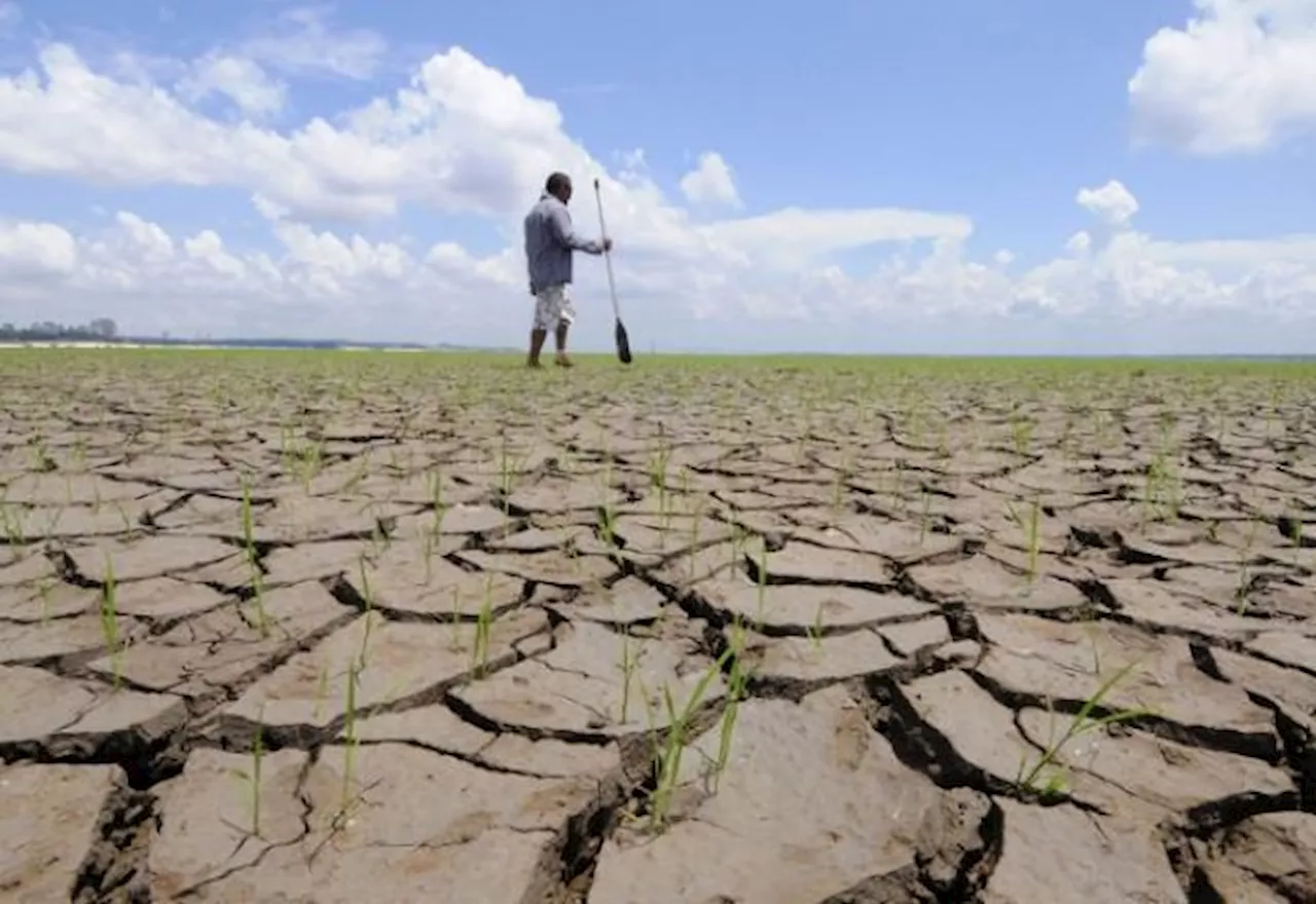 El Niño deve continuar elevando a temperatura a nível recorde até 2024