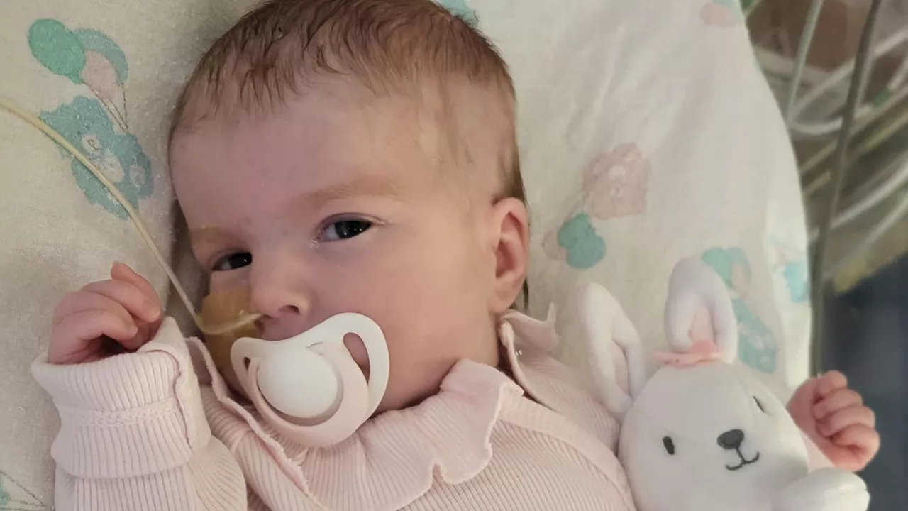 Indi Gregory: Parents lose bid to take critically ill baby home for end-of-life care