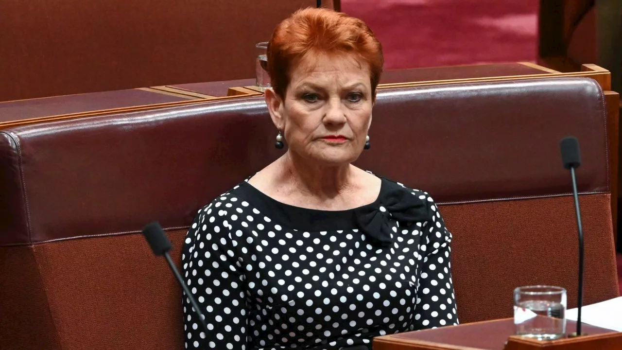 ‘Haters of the Jewish community’: Pauline Hanson slams Greens’ Senate walkout