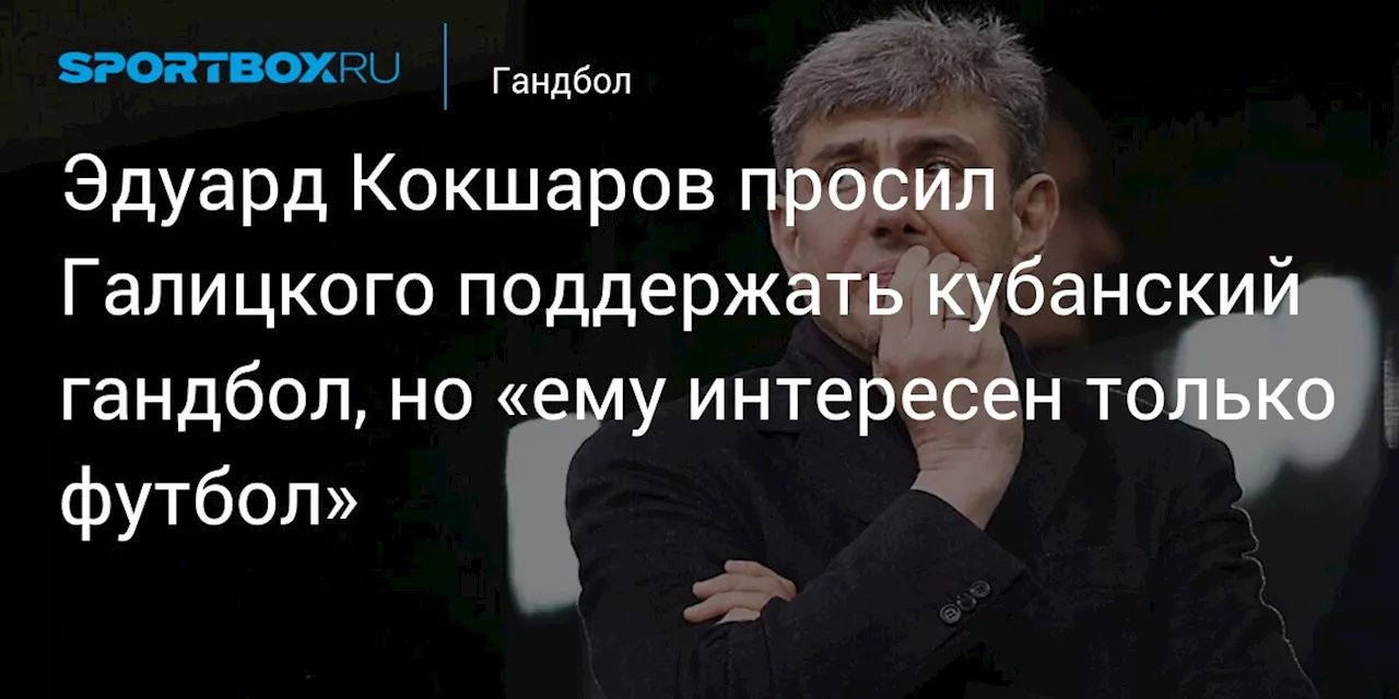 Эдуард Кокшаров просил Галицкого поддержать кубанский гандбол, но «ему интересен только футбол»