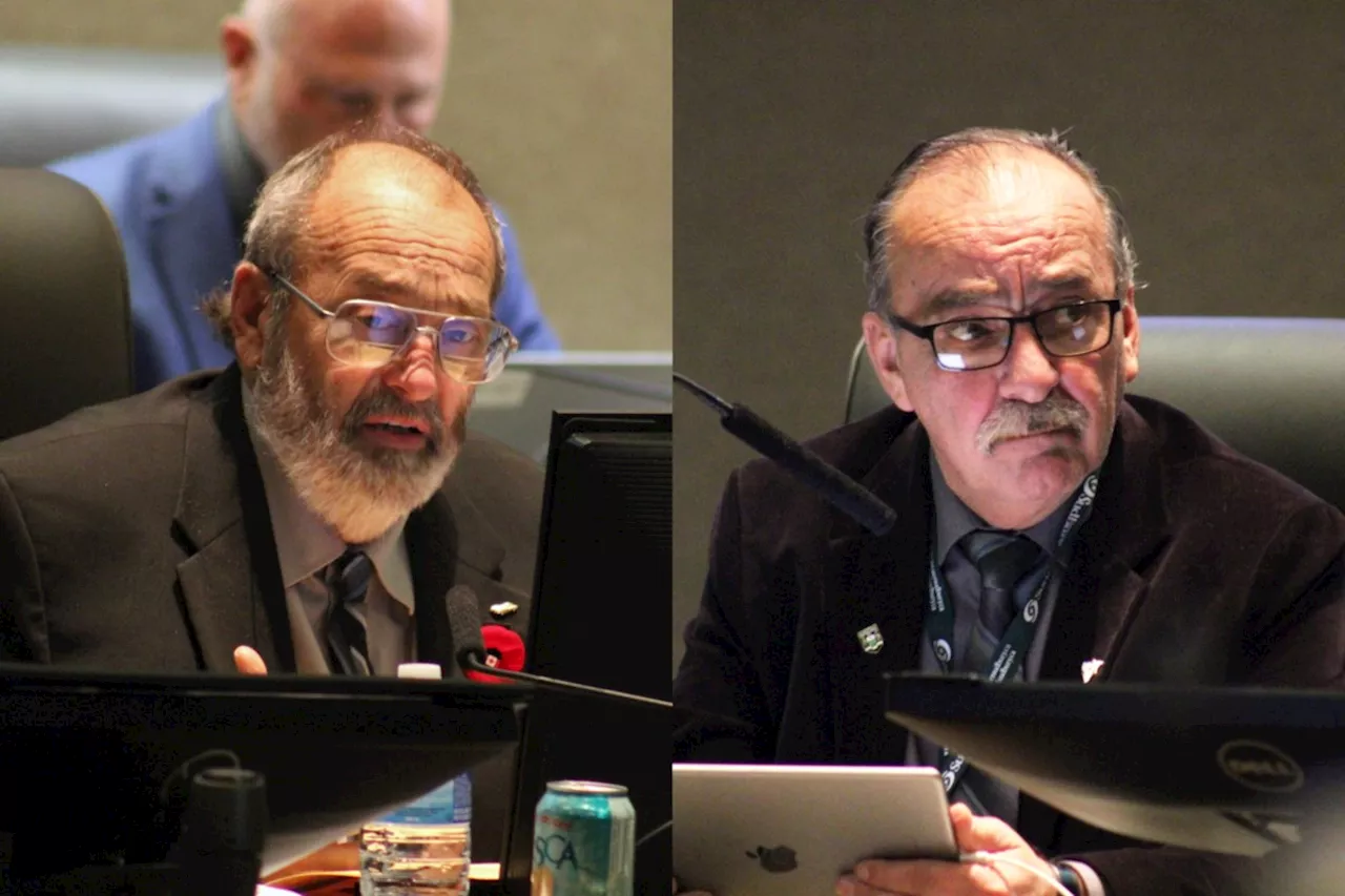 Council nearly unanimous in suspending two of their own