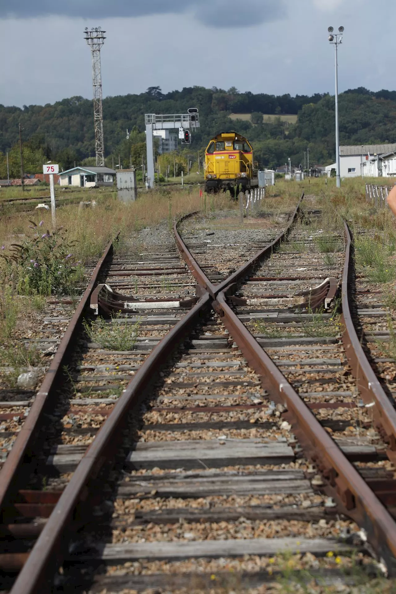 Ils dérobent 566 tonnes de rails en plein jour… Trois hommes interpellés après une opération bien rodée