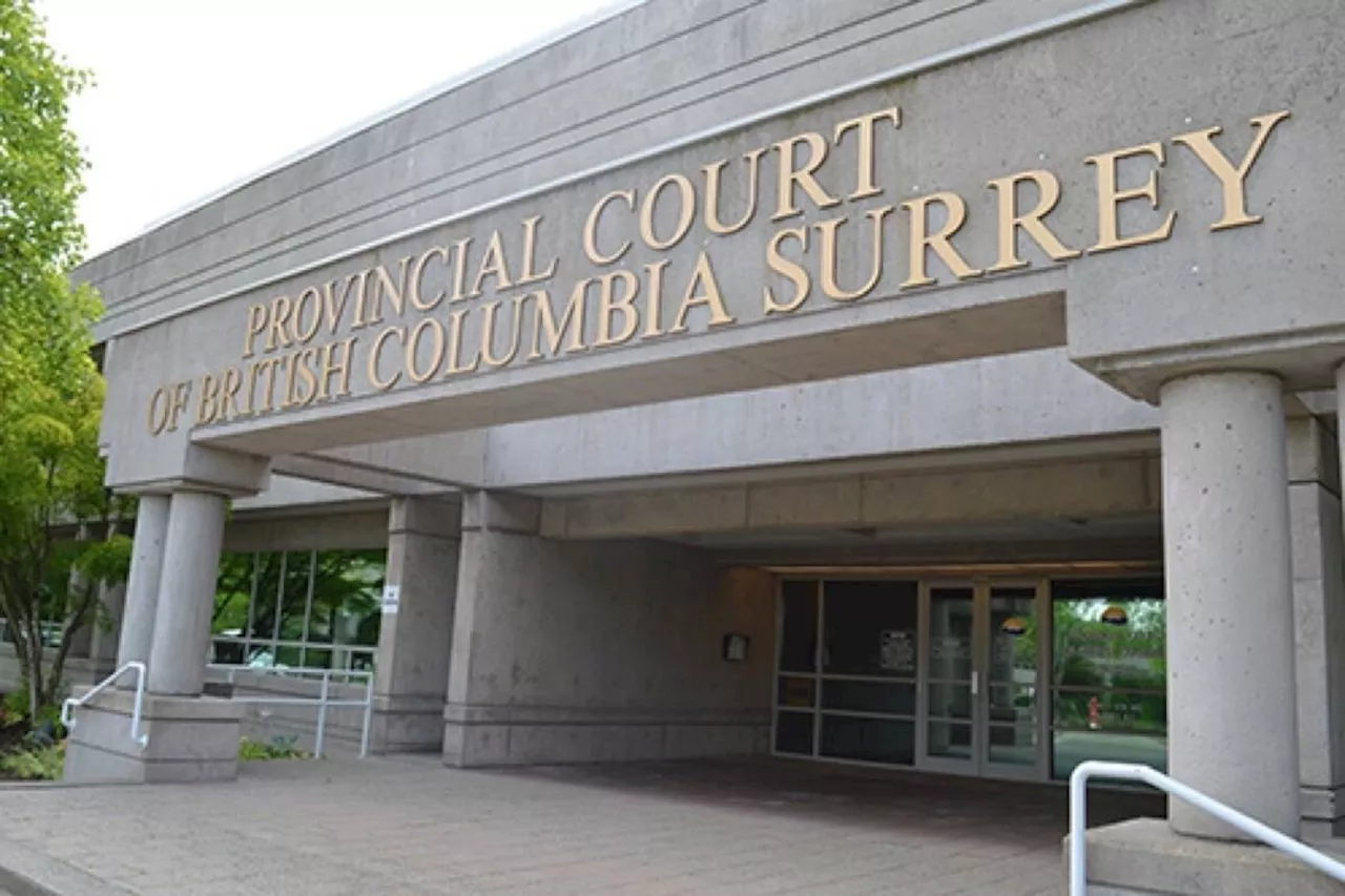 Surrey judge condemns ministry’s ‘epic failure’ to help 2 sexually abused children