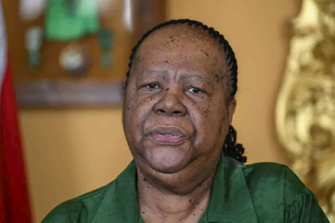 – Dirco ‘should be commended’ for recalling SA diplomats in Israel