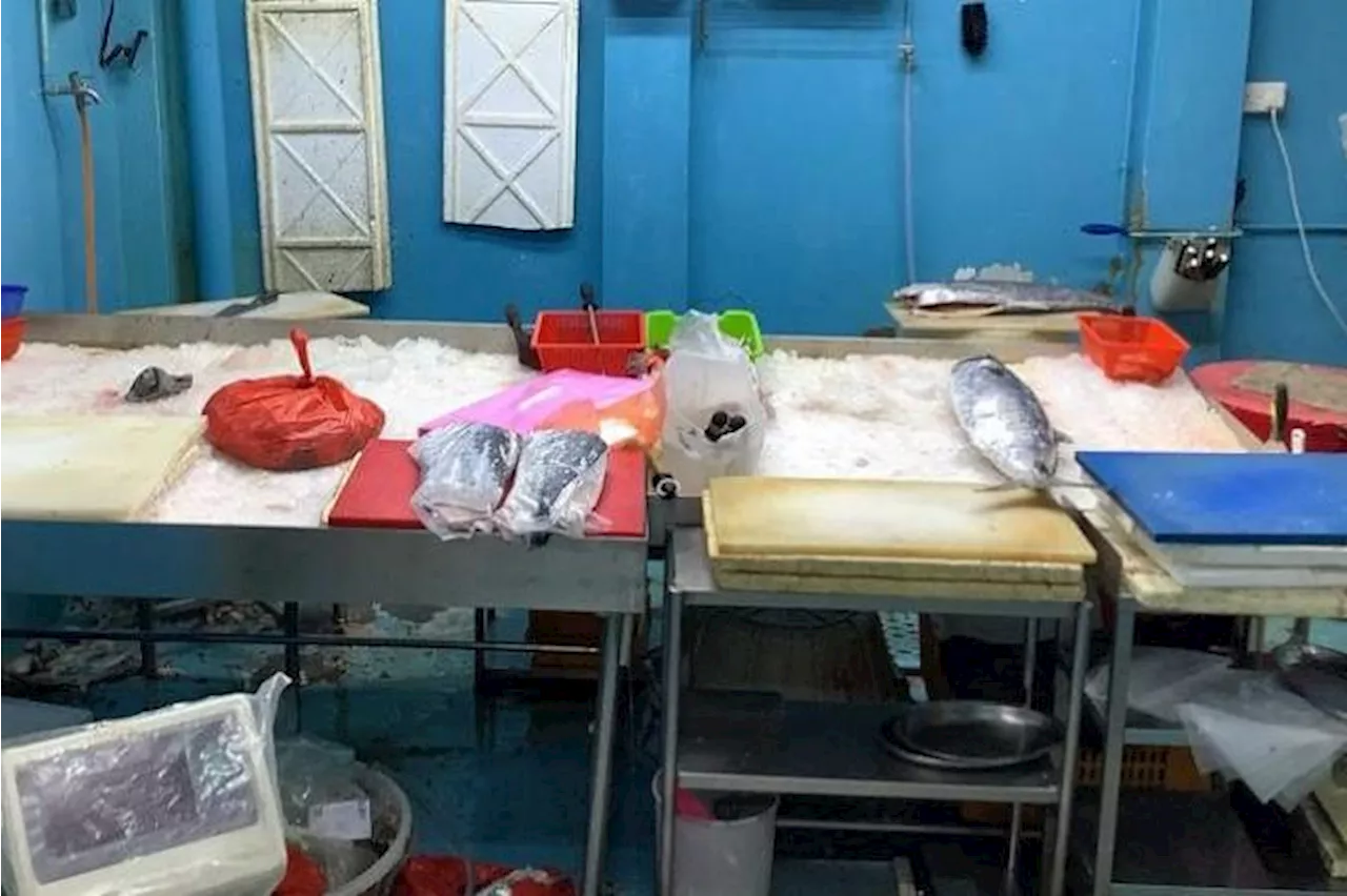 Seafood supplier fined $16,000 for processing seafood in landed property