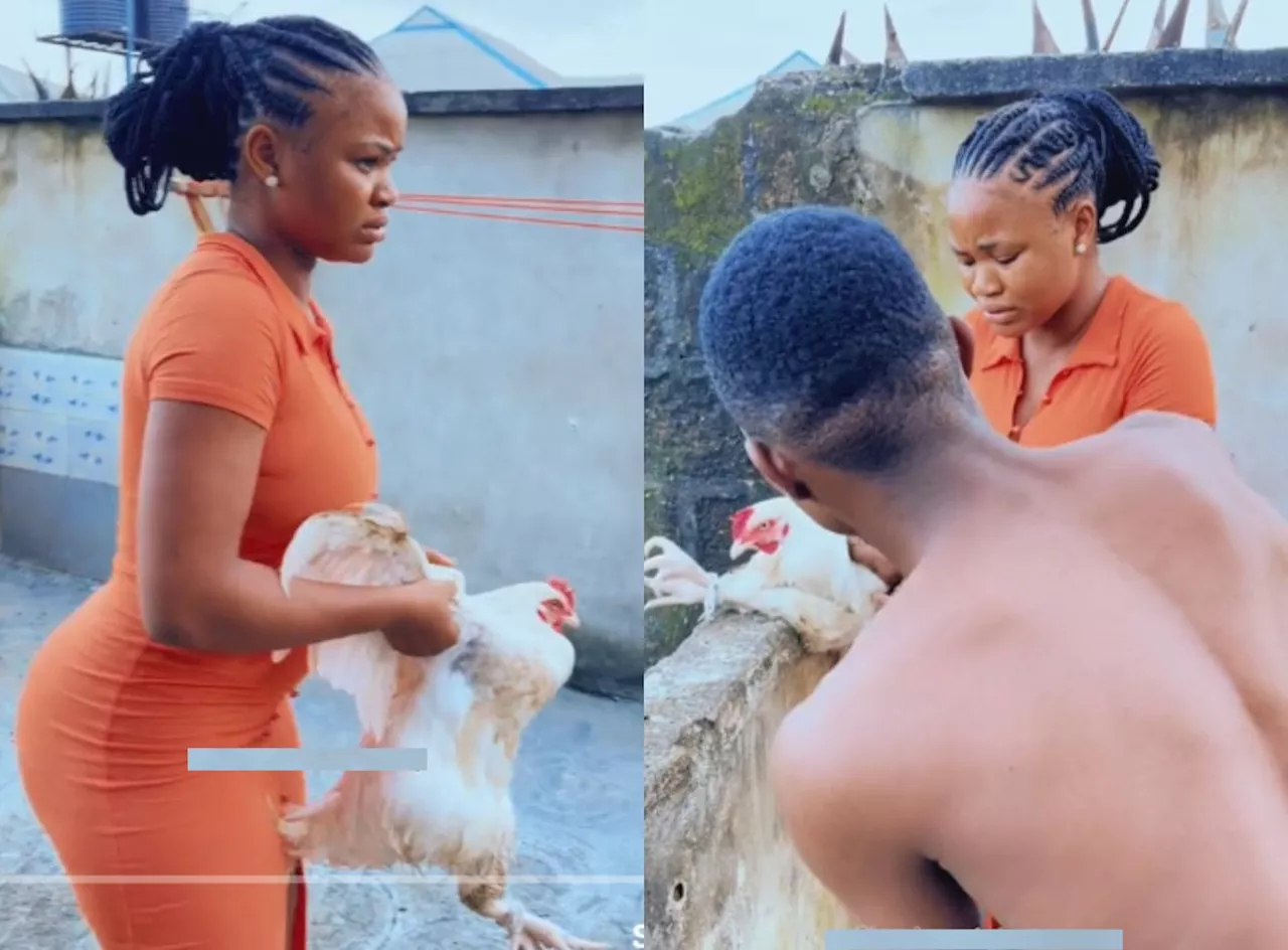 Drama as Lady fights her boyfriend to save life of chicken about to be killed (Video)