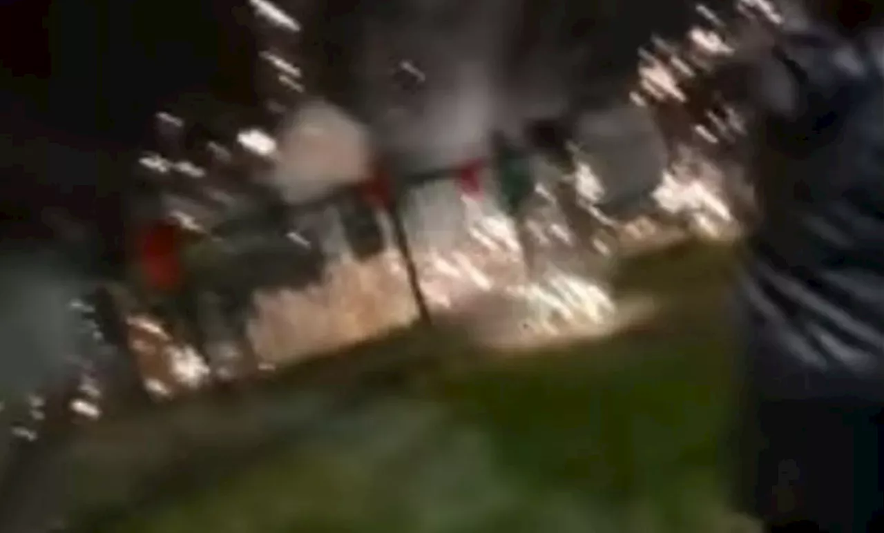 Terrifying moment fireworks explode at school display and fly into crowd of panicked parents and kids...