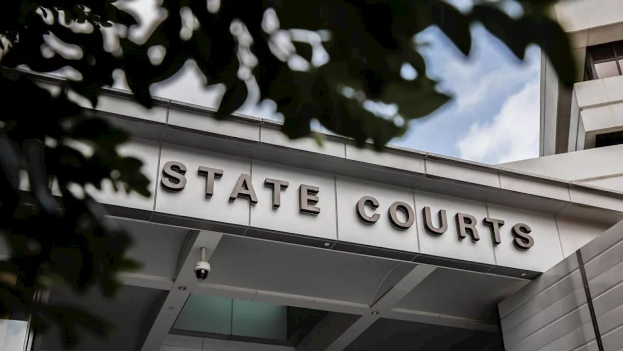Woman acts rich, uses forged documents to trick housemate into lending her more than S$400,000