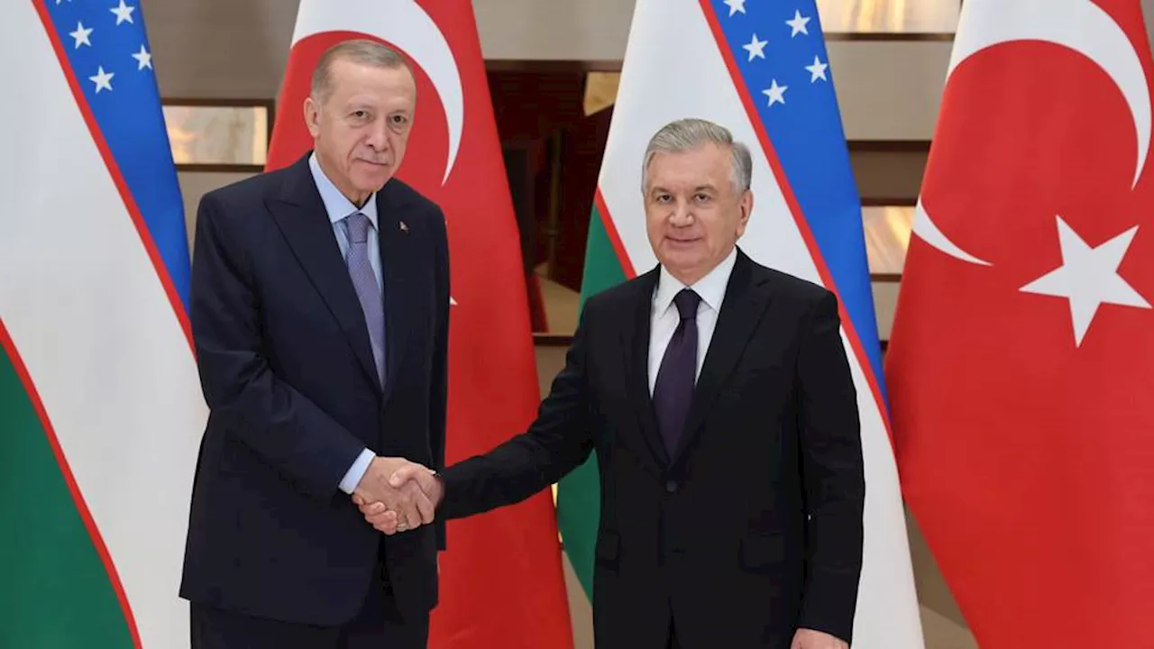 Turkish, Uzbek presidents discuss further steps to increase cooperation