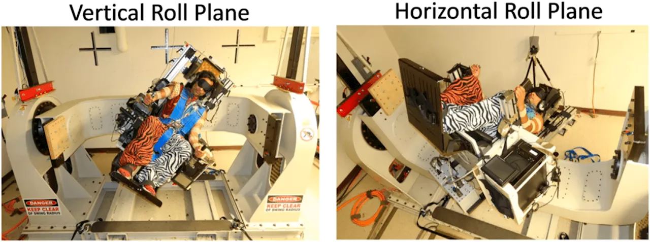 Astronauts Could Wear a Device to Prevent Disorientation in Space