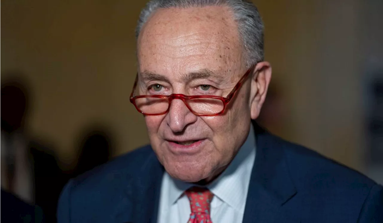 Chuck Schumer takes victory lap, jabs 'MAGA extremism' after abortion issue boosts Dems in elections