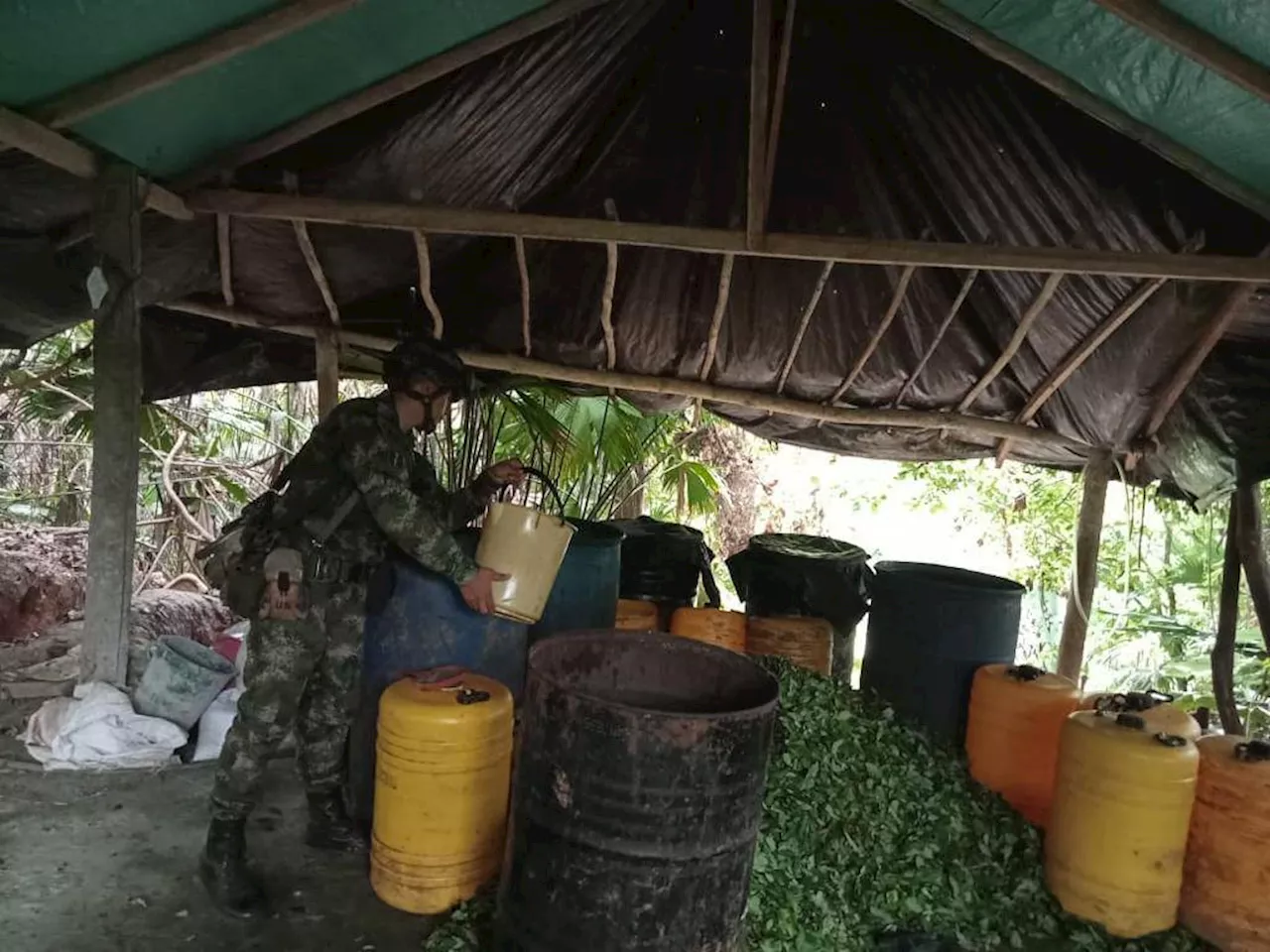 Ejército destruyó laboratorio de pasta base de coca, en Puerto Libertador, Córdoba