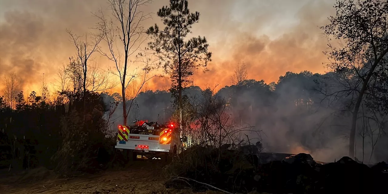 Large wildfire burning in Tuscaloosa County destroyed 2 vacant homes and burned 3 acres