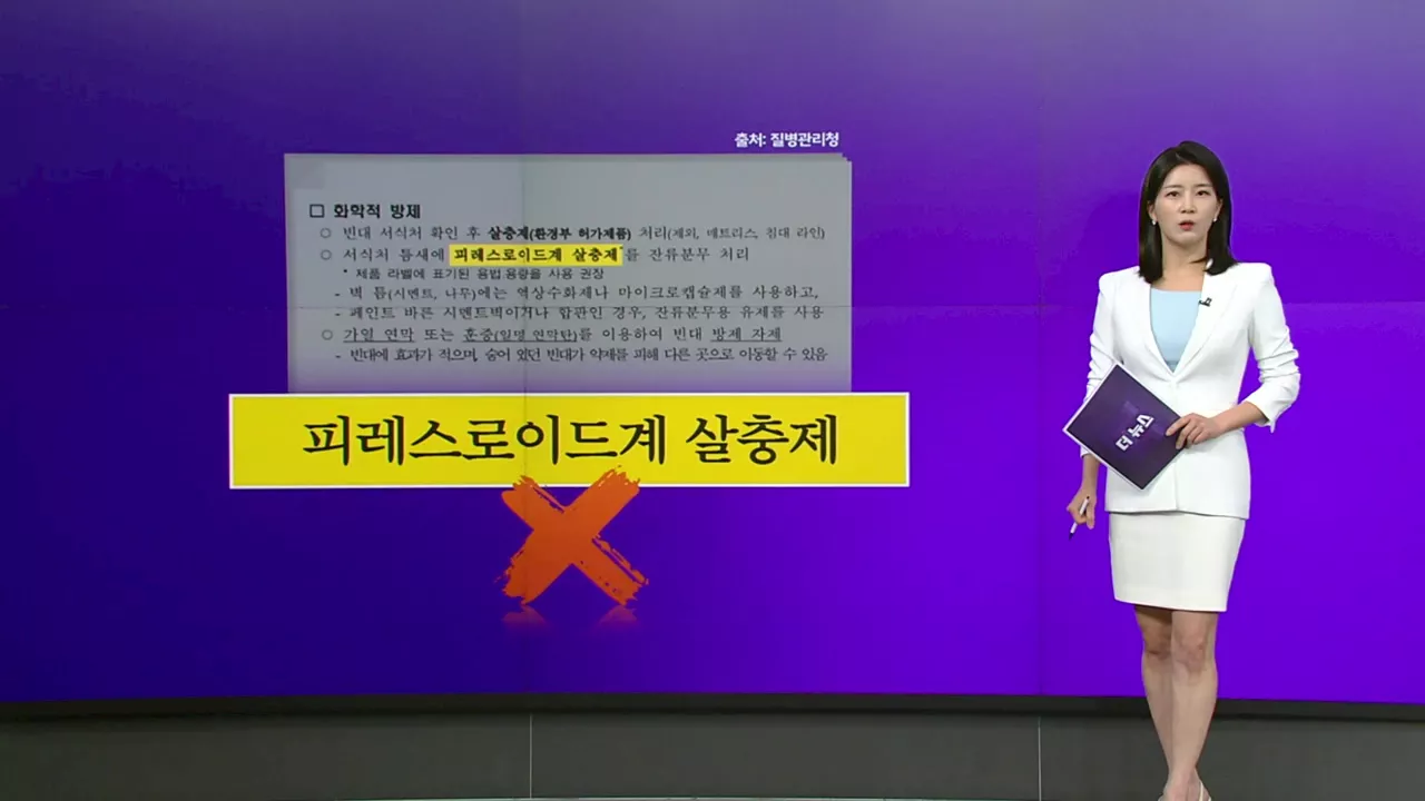 빈대 퇴치법, 뭐가 맞고 뭐가 틀리나 [앵커리포트]