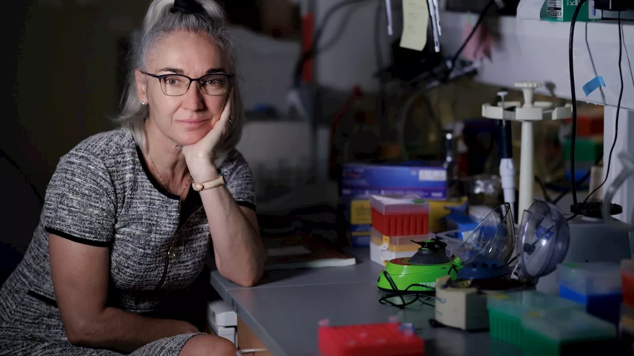 Eva Nogales, la primera científica española que gana el 'Nobel Oriental': 'Estoy contentísima de