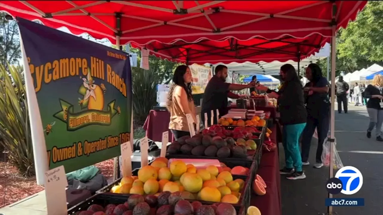 Watts Willowbrook Farmers' Market reopens for 1st time since pandemic