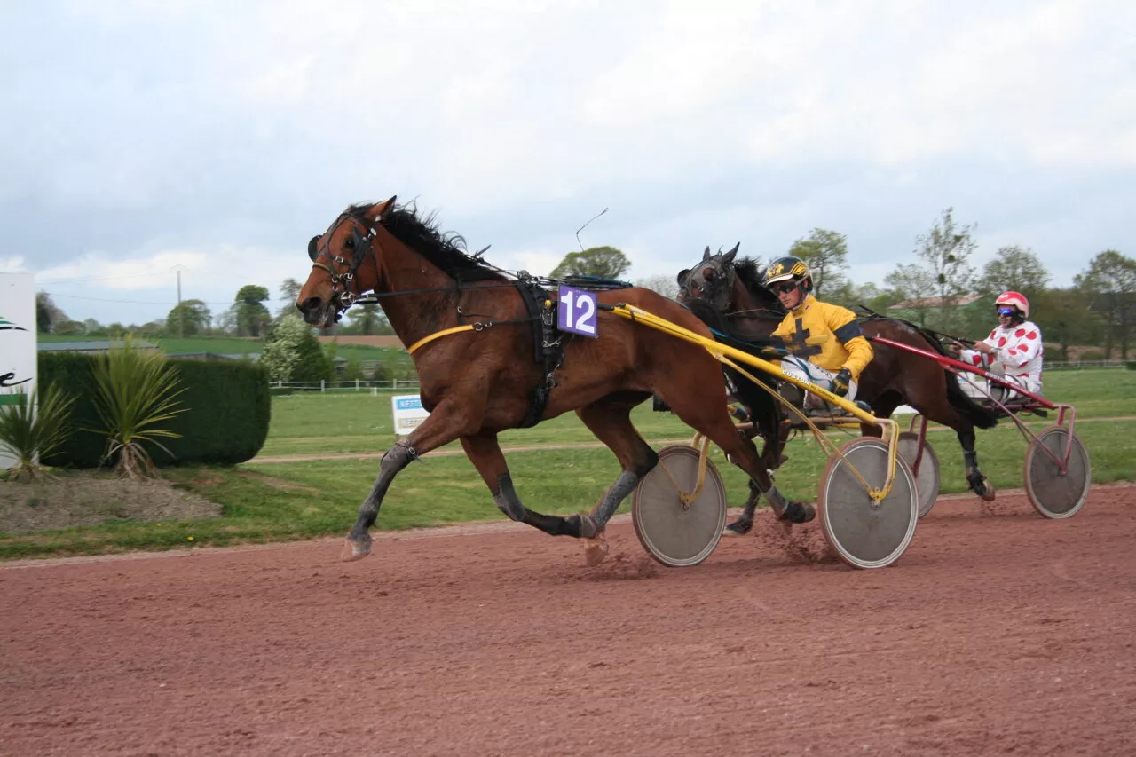 Course hippique : avant-dernière réunion de l'année à Vire Normandie