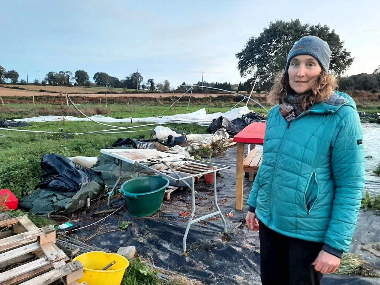 Dans le Centre Morbihan, des dégâts chez les maraîchers après le passage de Ciaran