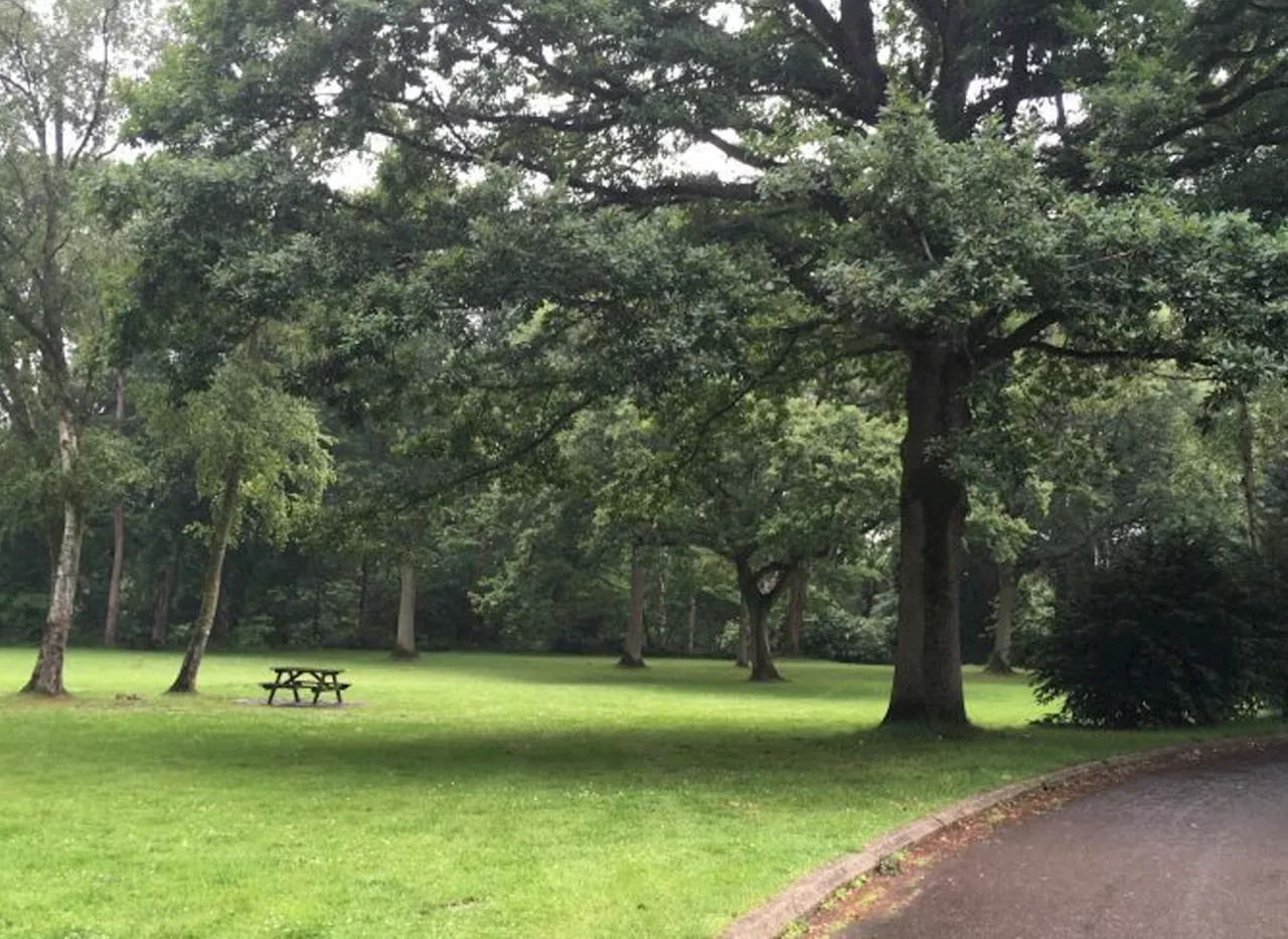 Tempête Ciaran au Havre : la forêt de Montgeon reste interdite au public