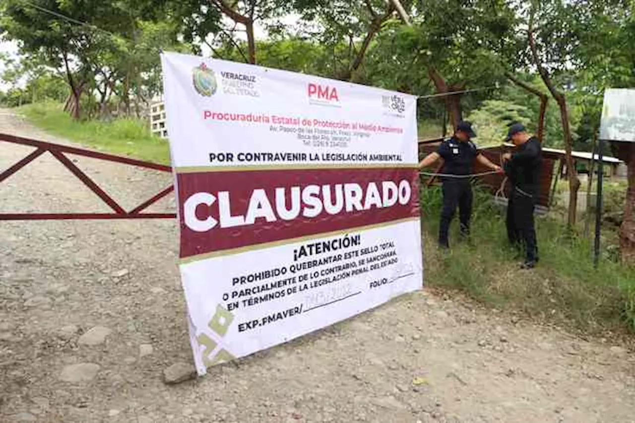 Con basurero clausurado, Alcaldía de Misantla deberá hallar solución: SEDEMA