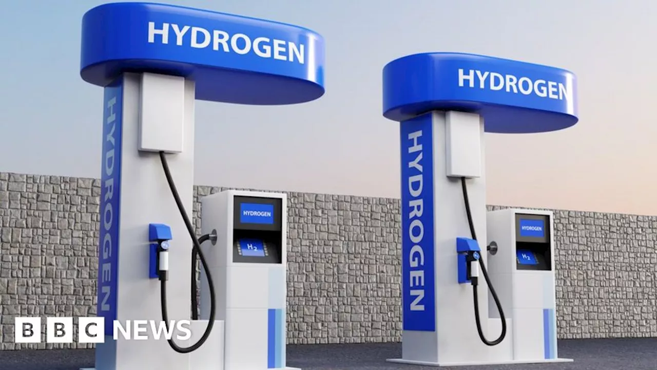 Green energy: Fears slow hydrogen strategy threatens sector