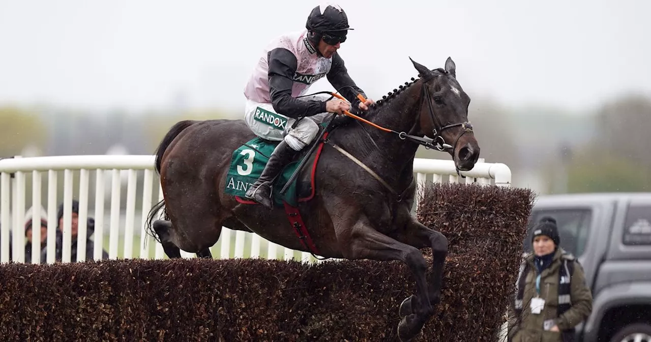 Gordon Elliott's Grade 1 stars set for first jumps of season at Down Royal