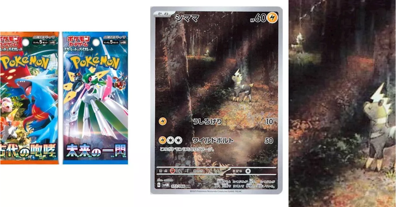 Pokémon TCG Japan Teases October 2023 Scarlet & Violet-era Sister Sets