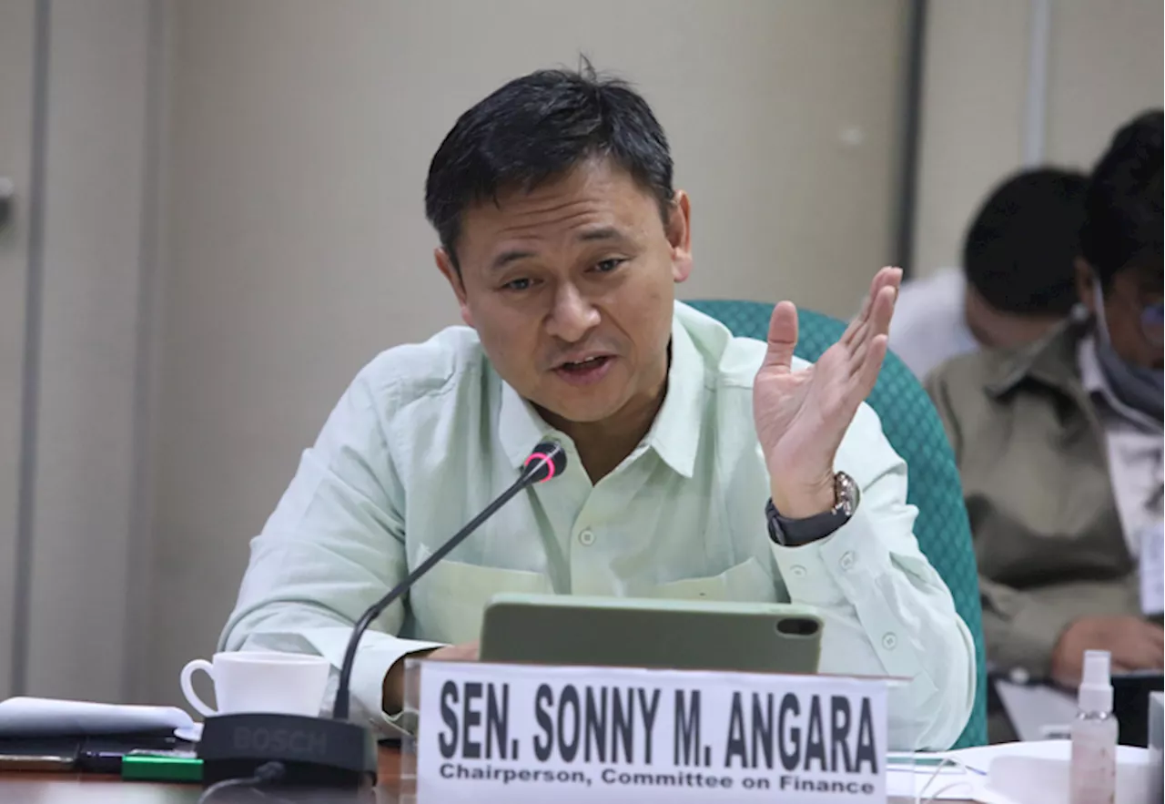 Senate tackles OP, OVP budgets; OVP, DepEd give up bid for confidential, intel fund