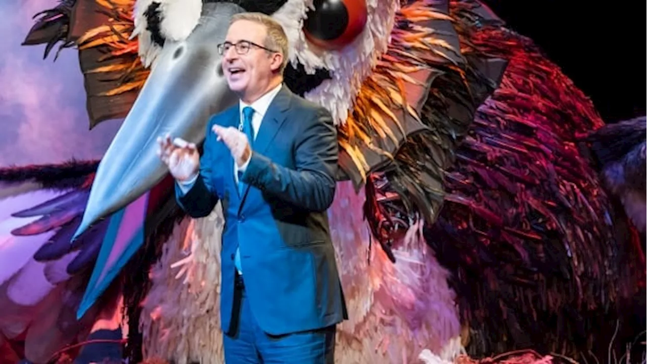 John Oliver ruffles feathers by advocating for the pūteketeke in New Zealand bird contest