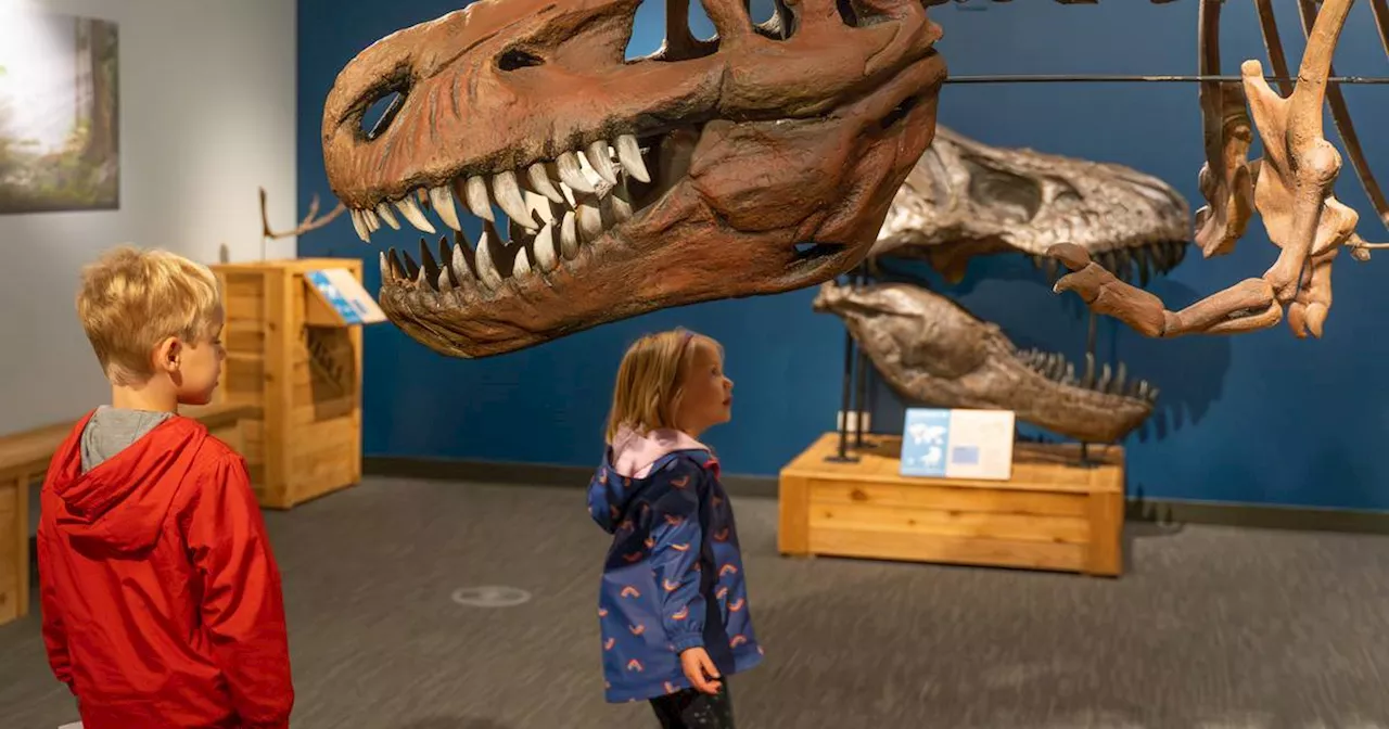 Hands-on dinosaur exhibit opens at Lake County’s Dunn Museum; ‘A learning experience for everyone’