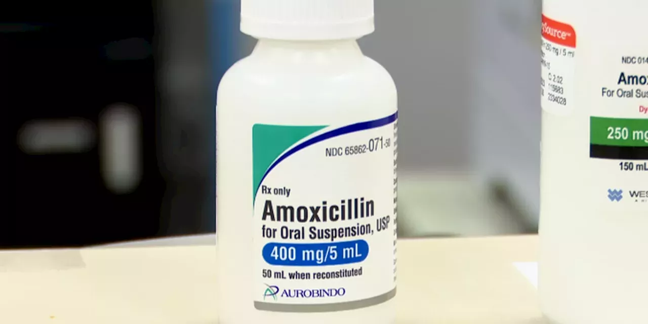 Amoxicillin In High Demand And Short Supply As Strep Throat And Other   Amoxicillin In High Demand And Short Supply As Str Amoxicillin In High Demand And Short Supply As Str DEF8DDE791053FFC3C485B3355BD57BB.webp