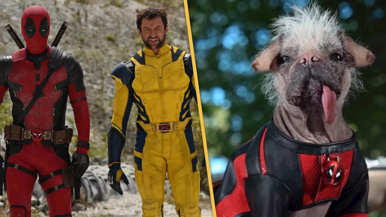 Ryan Reynolds Teases Dogpool Appearance in Deadpool 3