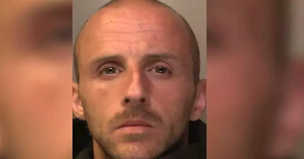 Drug Dealer in 'Eggy Line' Ring Breaks into Ex's Home and Steals Chicken Wings