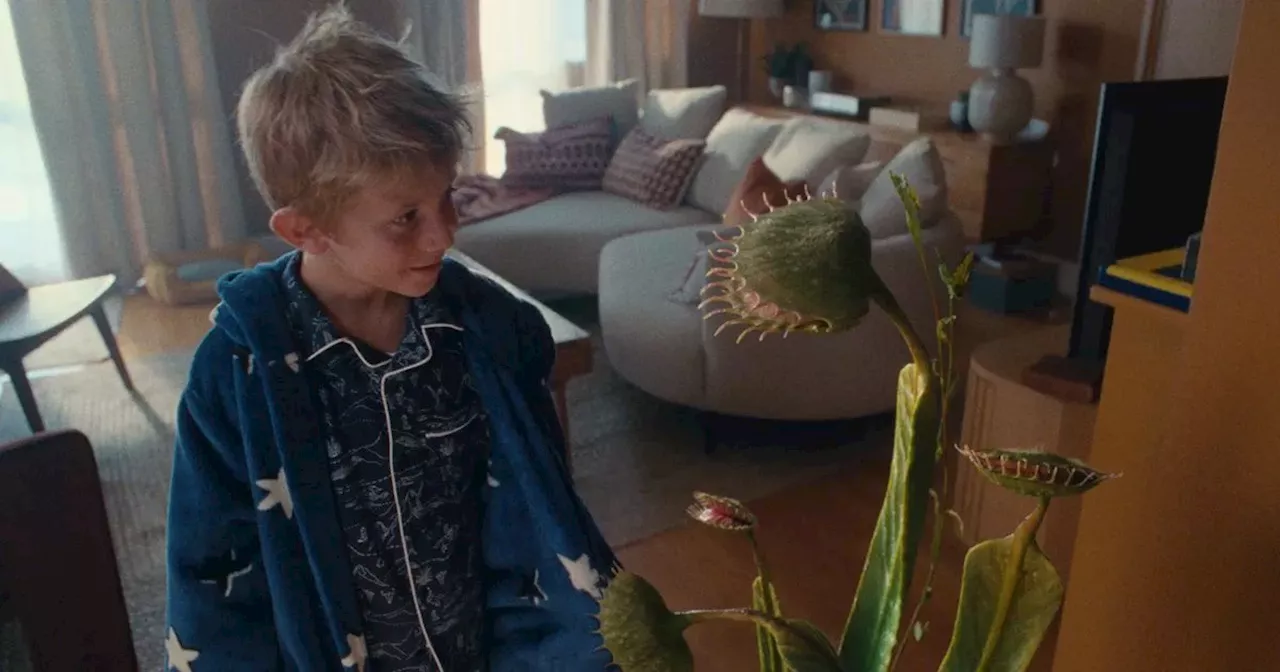 Watch John Lewis Christmas 2023 advert starring mischievous Venus flytrap