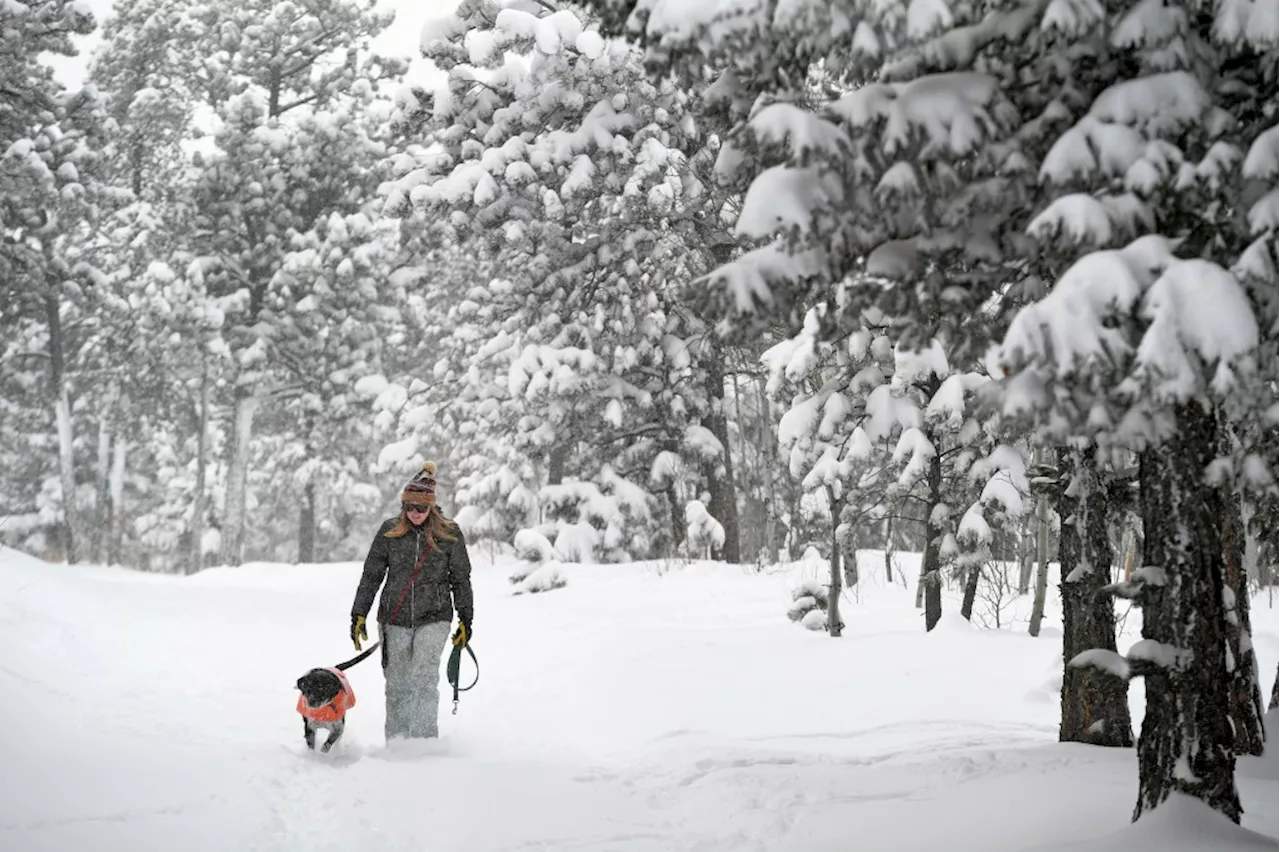 Colorado weather: Foothills west of Denver, Boulder blanketed in heavy snow Wednesday evening