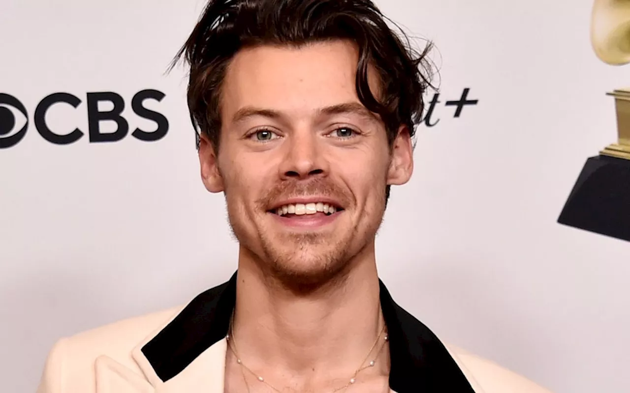 Marvel-Chef bestätigt Harry Styles' MCU-Rückkehr: 'Er freut sich darauf'