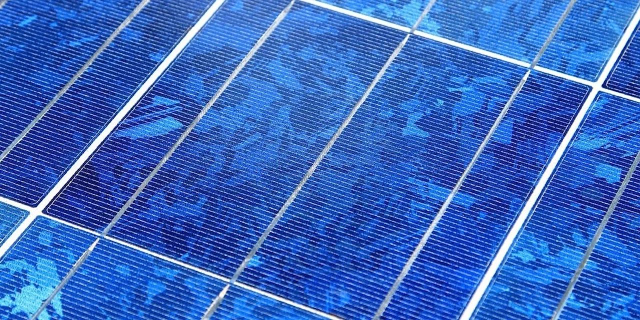 Firma knackt Weltrekord: Das sind die Solarzellen der nächsten Generation