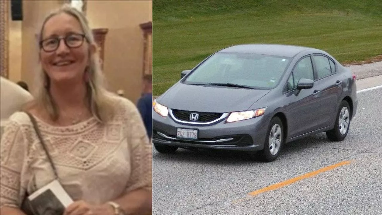 Cook County Sheriff searches for missing endangered woman