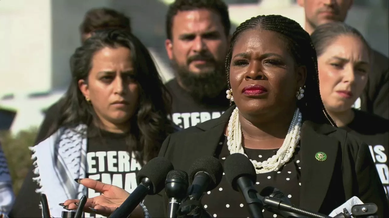 Rep. Cori Bush Rejects Israel's 'Four-Hour Pauses' in Gaza, Accuses of Ethnic Cleansing