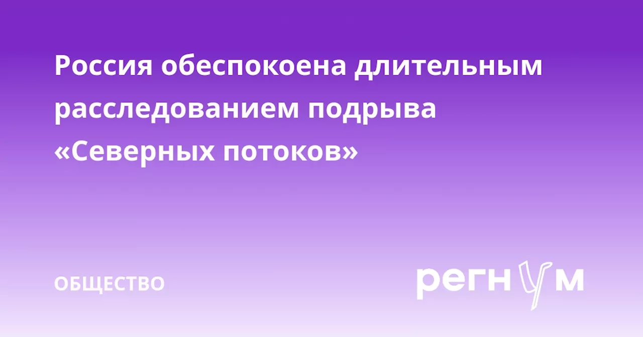 Россия обеспокоена длительным расследованием подрыва «Северных потоков»