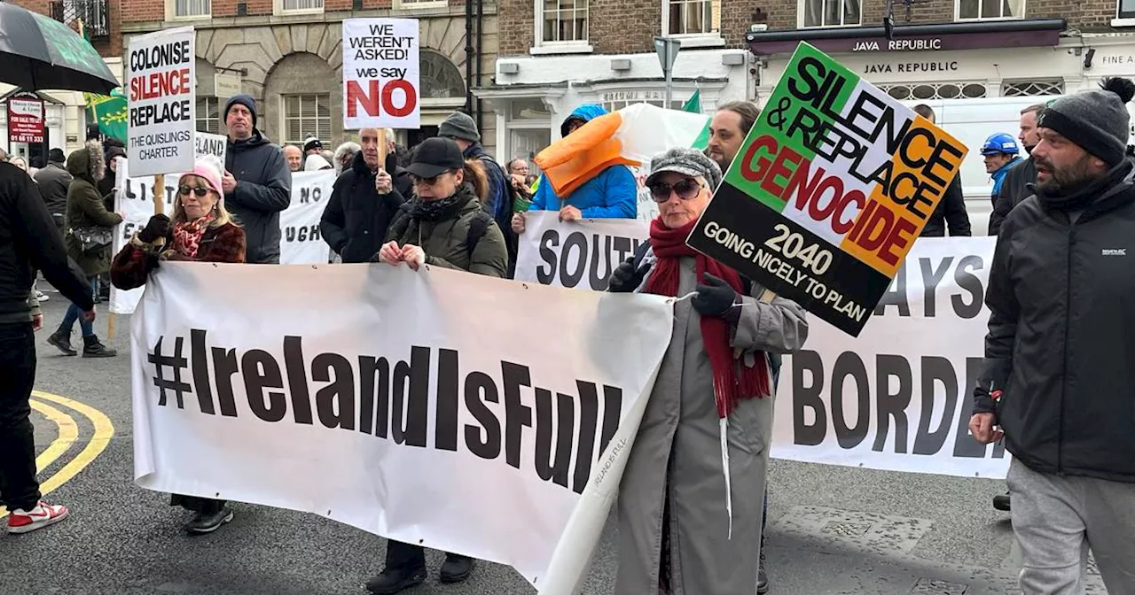 Around 150 people gather outside Leinster House in anti-immigration protest