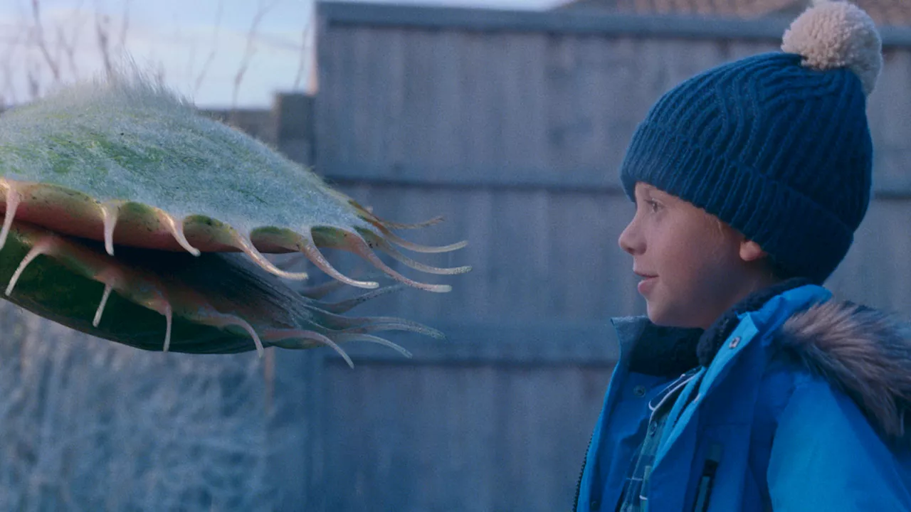 John Lewis Christmas advert: A Venus fly trap and Andrea Bocelli star in festive tale