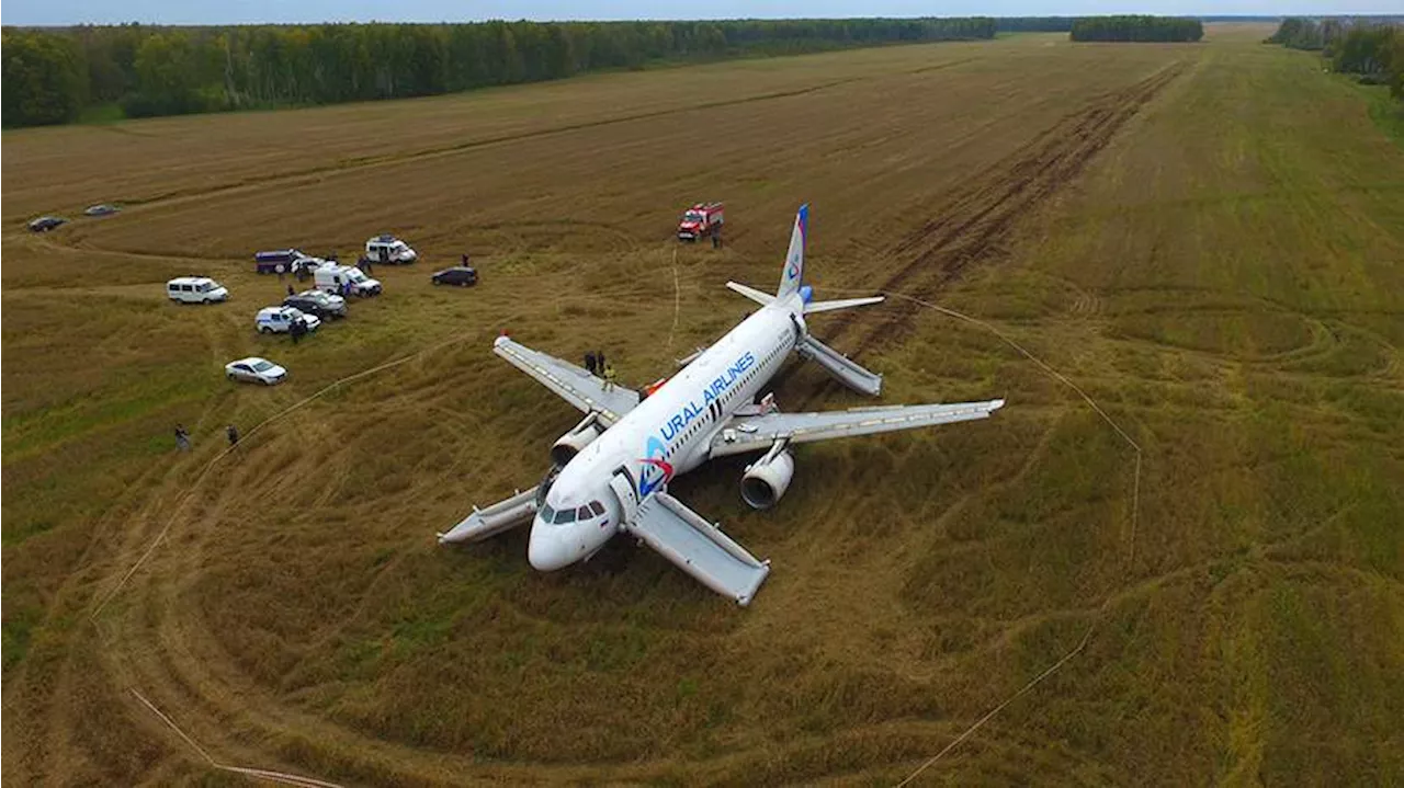 Росавиация возобновила расследование посадки самолета «Уральских авиалиний» в пшеничном поле