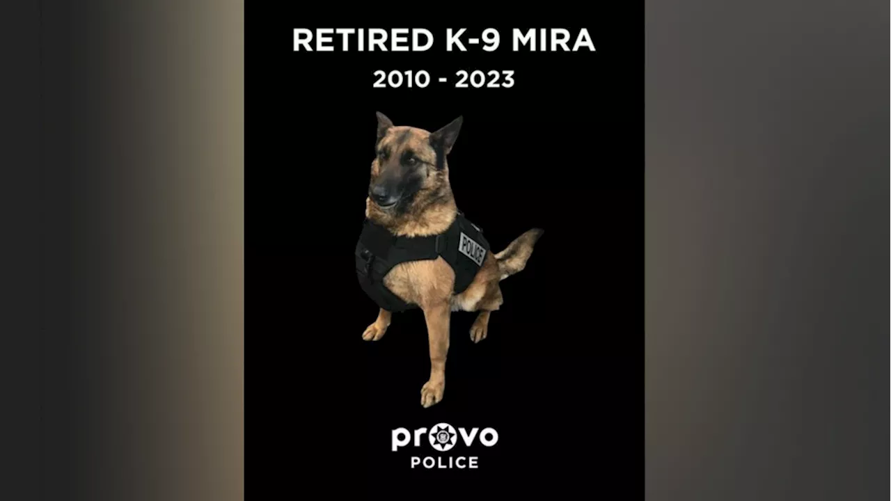 Provo police pay tribute to K-9 officer Mira after recent death