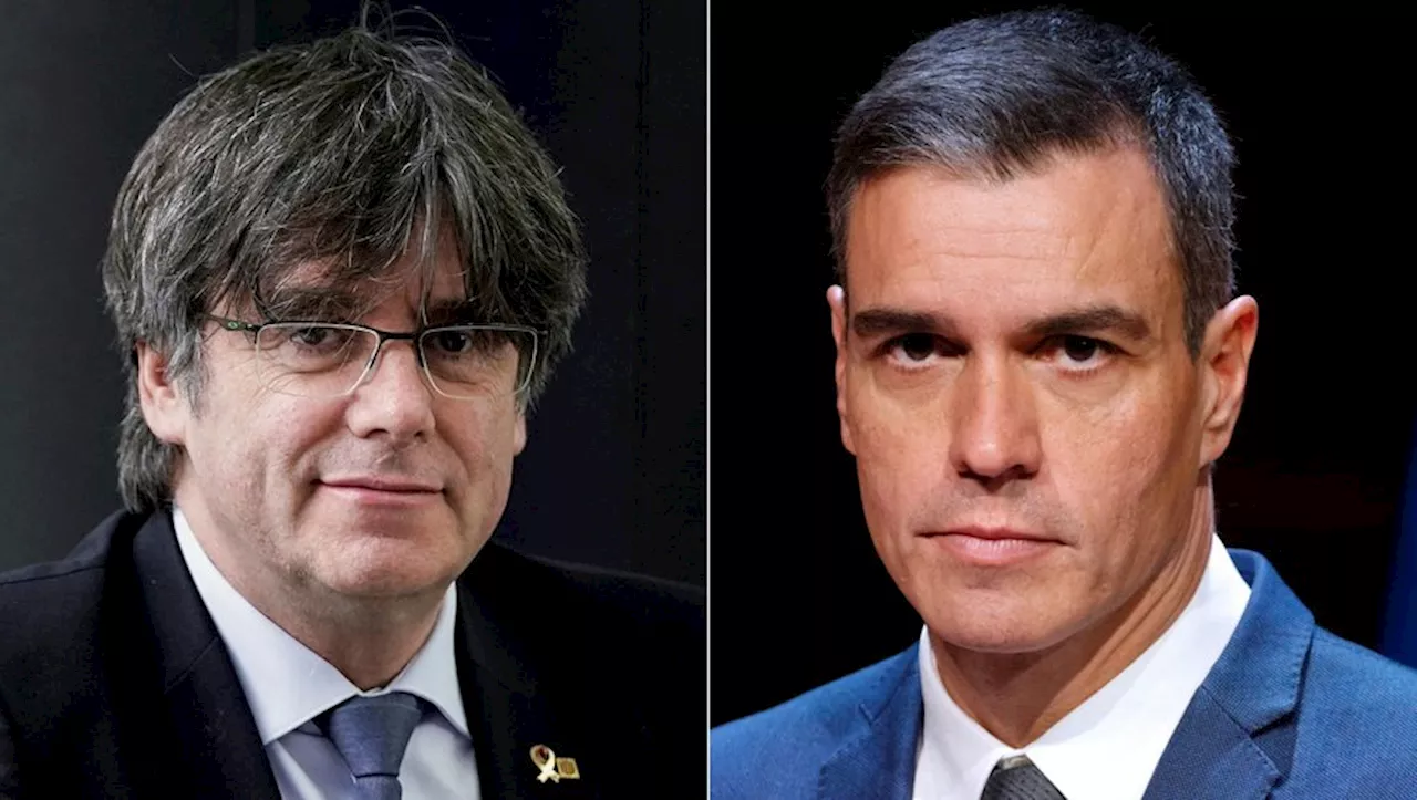 Espagne : Pedro Sánchez obtient l'appui controversé de l'indépendantiste catalan Carles Puigdemont pour rester