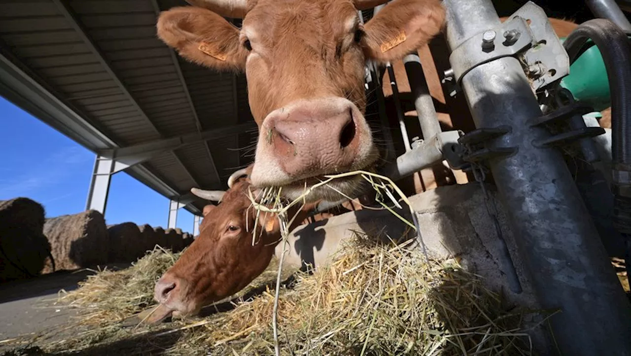 Les jeunes agriculteurs de Haute-Garonne passent à l’action