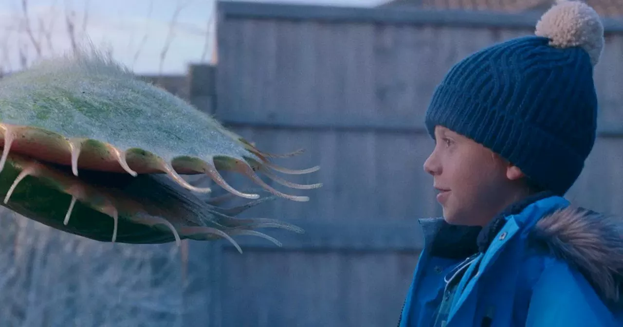 John Lewis' 2023 Christmas advert introduces us to Snappy the Venus flytrap