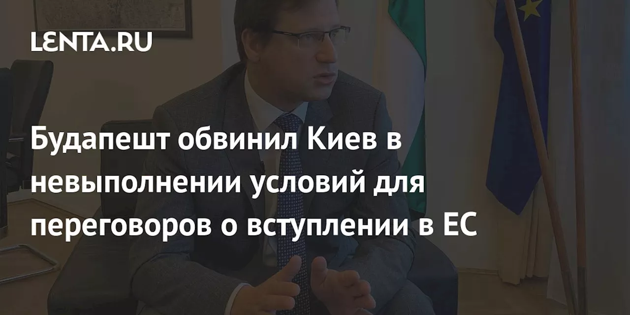 Будапешт обвинил Киев в невыполнении условий для переговоров о вступлении в ЕС